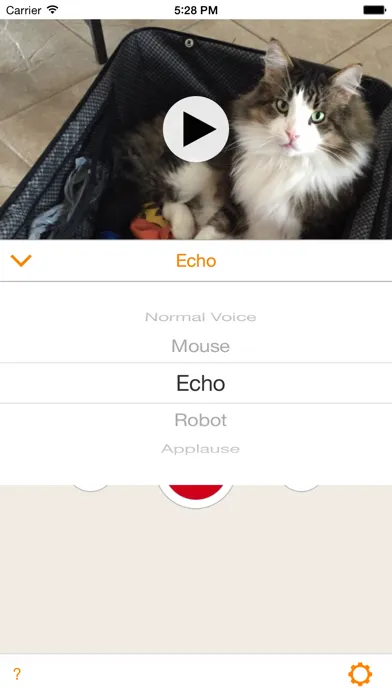 Capturas de pantalla de DubYou - Video Voice Changer