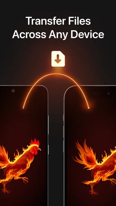 Chicken App: Files Transfer スクリーンショット