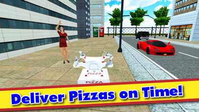 Drone Pizza Delivery 3D スクリーンショット