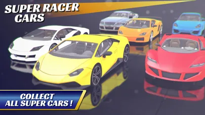 SUPER RACER CARS 3D应用截图