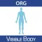 For Organizations - Physiology Animations