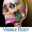 Skeleton Premium Skeleton Premium