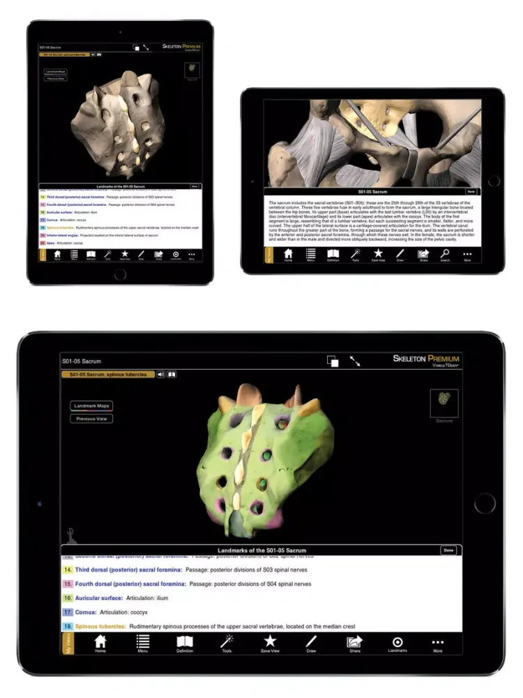Skeleton Premium iPad  Screenshots