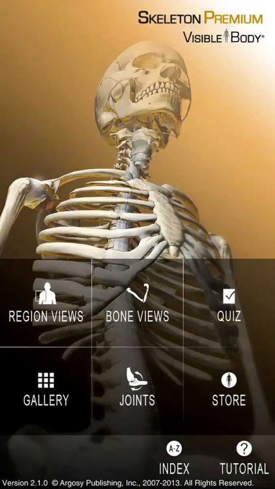 Skeleton Premium Screenshots