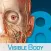 Human Anatomy Atlas – 3D Anatomical Model of the Human Body