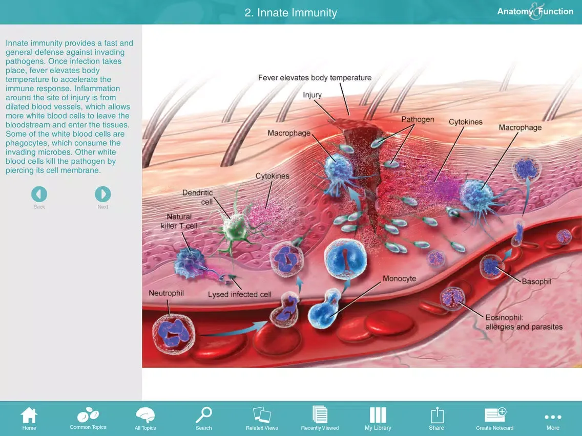 Скриншоты Anatomy & Function: A 3D Visual Reference of the Human Body iPad 