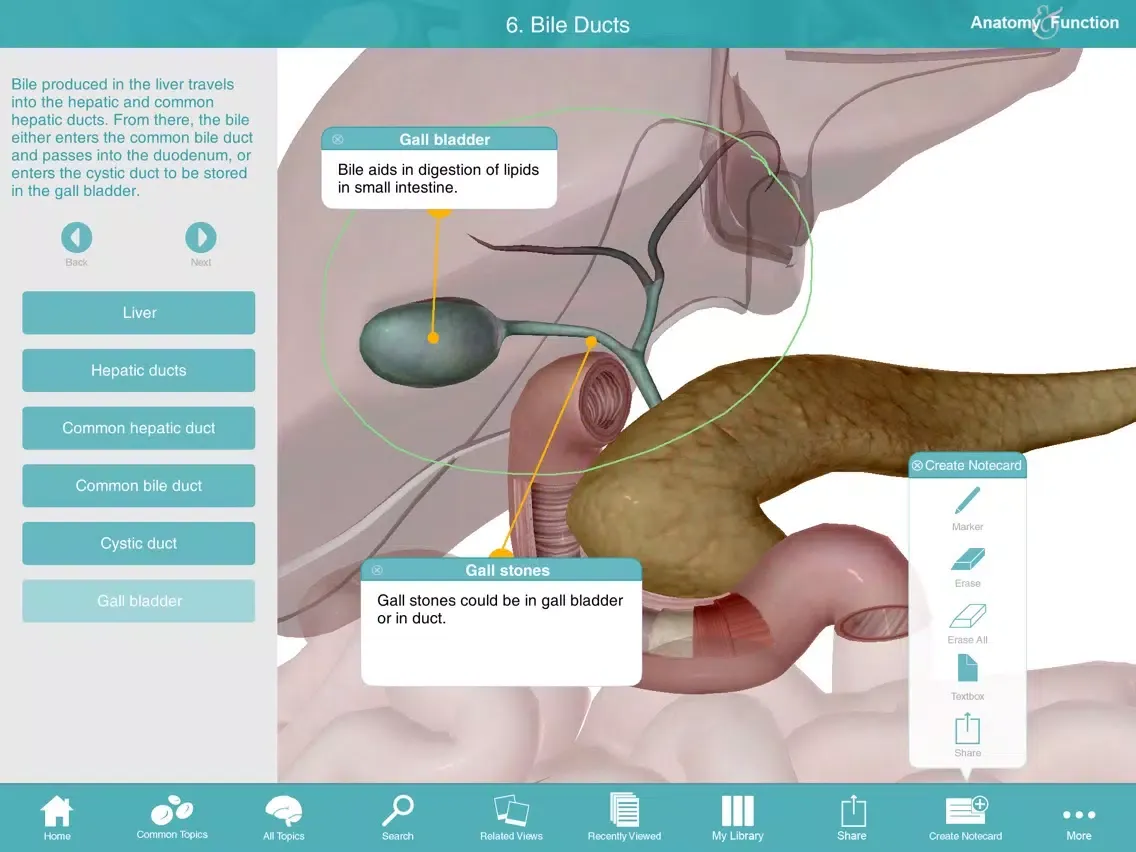 Скриншоты Anatomy & Function: A 3D Visual Reference of the Human Body iPad 