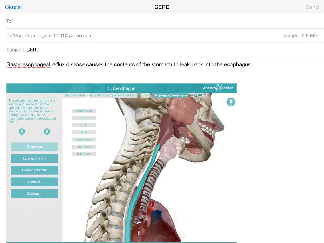 Скриншоты Anatomy & Function: A 3D Visual Reference of the Human Body iPad 