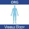 For Organizations - Anatomy & Function