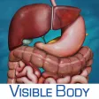 Digestive Anatomy Atlas: Essential Reference for Students and Healthcare Professionals Digestive Anatomy Atlas: Essential Reference for Students and Healthcare Professionals