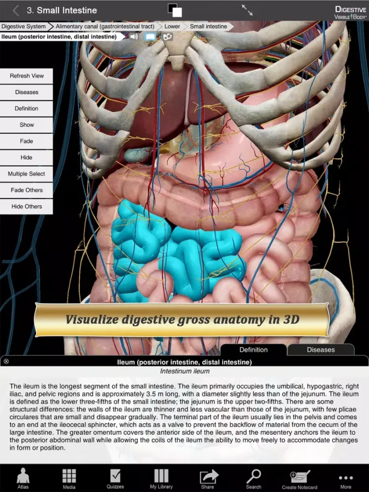 Tangkapan skrin Digestive Anatomy Atlas: Essential Reference for Students and Healthcare Professionals iPad 
