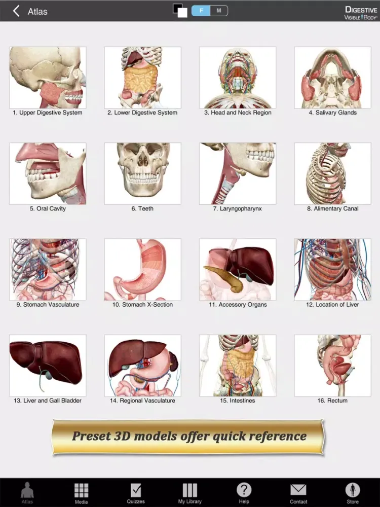 Tangkapan skrin Digestive Anatomy Atlas: Essential Reference for Students and Healthcare Professionals iPad 