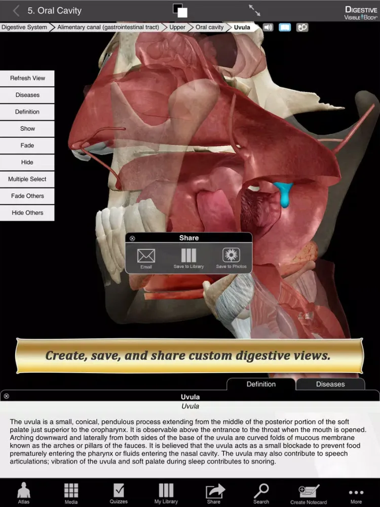 Tangkapan skrin Digestive Anatomy Atlas: Essential Reference for Students and Healthcare Professionals iPad 