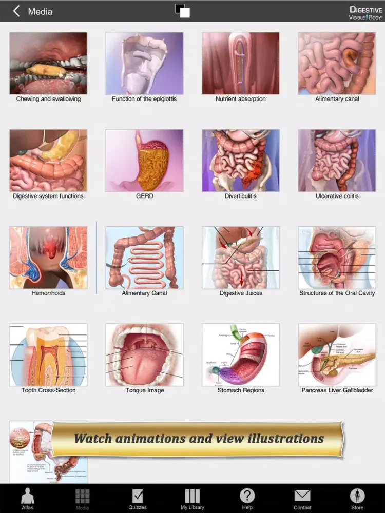 Tangkapan skrin Digestive Anatomy Atlas: Essential Reference for Students and Healthcare Professionals iPad 
