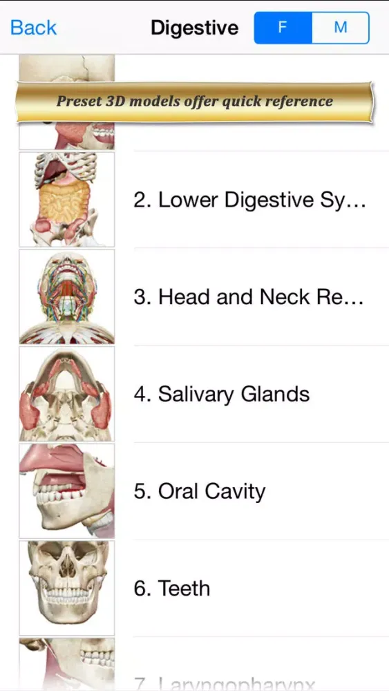 Tangkapan skrin Digestive Anatomy Atlas: Essential Reference for Students and Healthcare Professionals