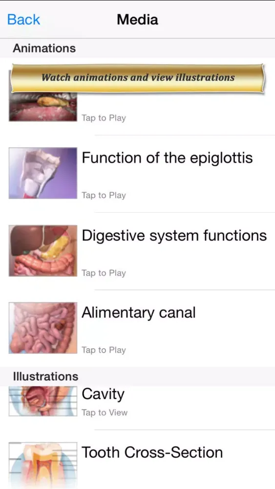 Tangkapan skrin Digestive Anatomy Atlas: Essential Reference for Students and Healthcare Professionals