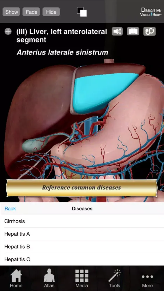 Tangkapan skrin Digestive Anatomy Atlas: Essential Reference for Students and Healthcare Professionals