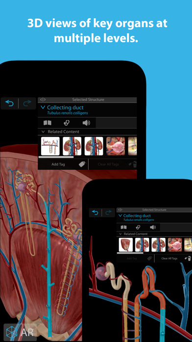 Capturas de pantalla de Human Anatomy Atlas 2025