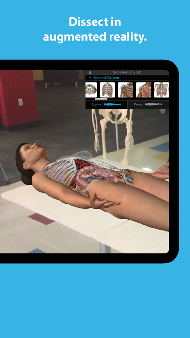 Capturas de pantalla de Human Anatomy Atlas 2025