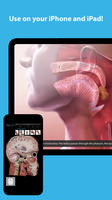 Capturas de pantalla de Human Anatomy Atlas 2025