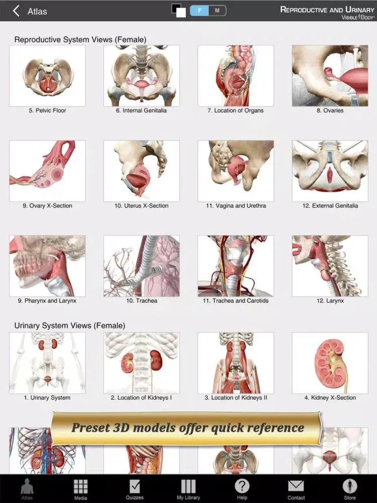 Ảnh chụp màn hình của Reproductive and Urinary Anatomy Atlas: Essential Reference for Students and Healthcare Professionals iPad 