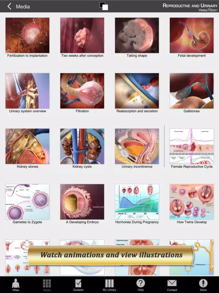 Ảnh chụp màn hình của Reproductive and Urinary Anatomy Atlas: Essential Reference for Students and Healthcare Professionals iPad 