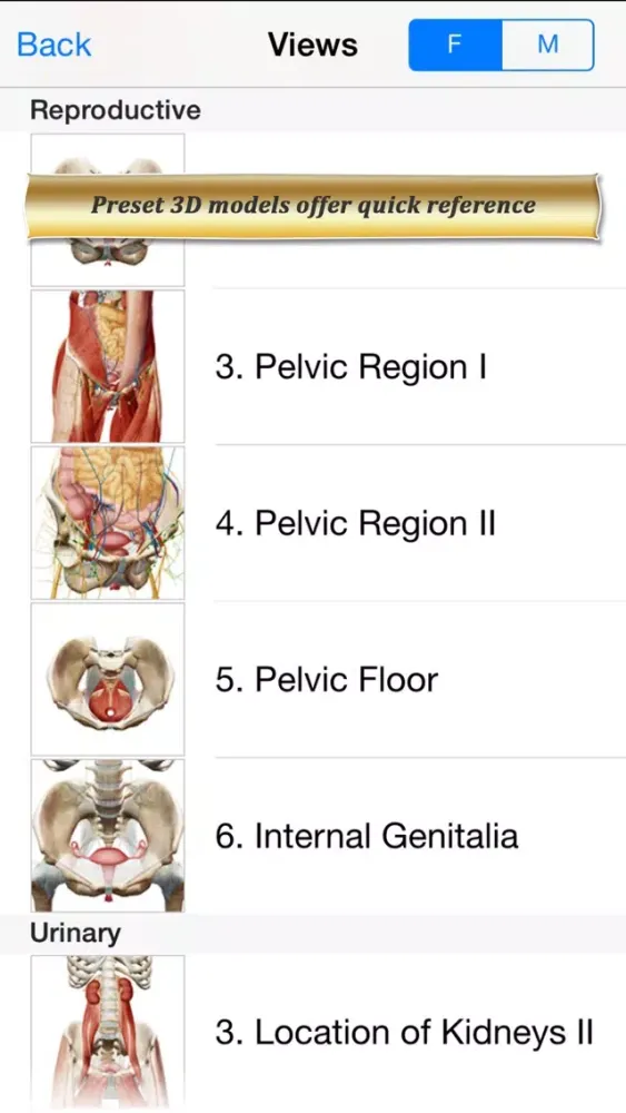 Ảnh chụp màn hình của Reproductive and Urinary Anatomy Atlas: Essential Reference for Students and Healthcare Professionals