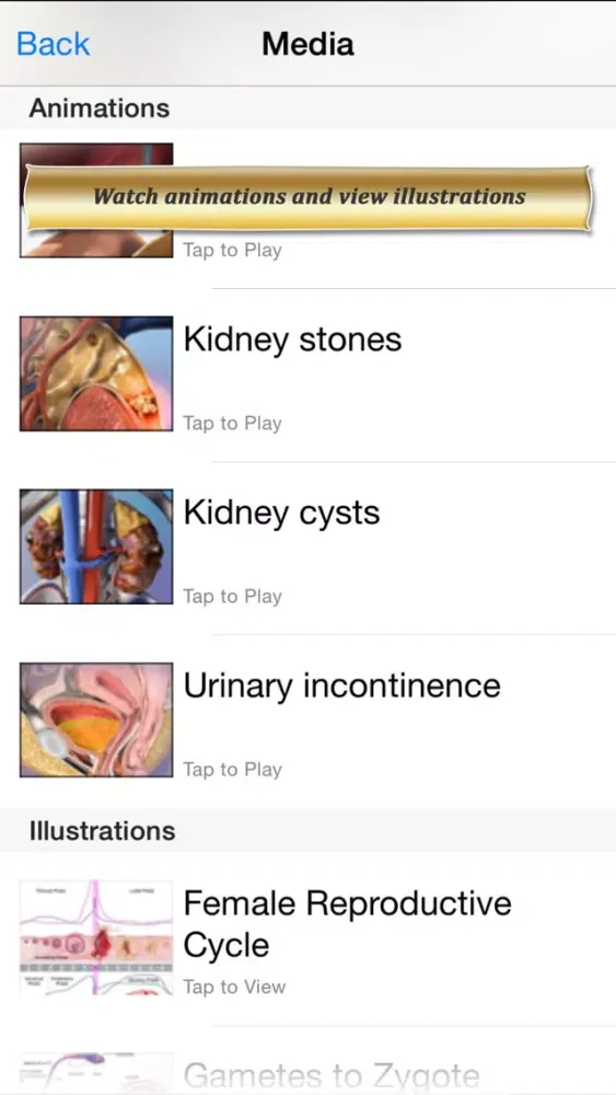 Ảnh chụp màn hình của Reproductive and Urinary Anatomy Atlas: Essential Reference for Students and Healthcare Professionals