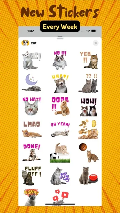تصاویر Very Necessary Cat Reactions