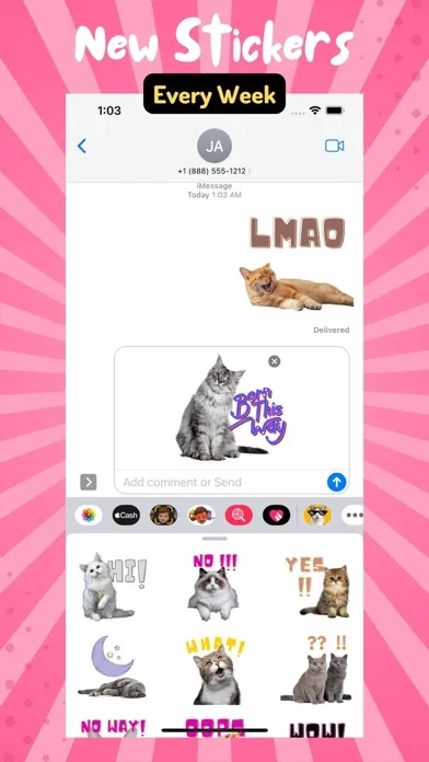تصاویر Very Necessary Cat Reactions