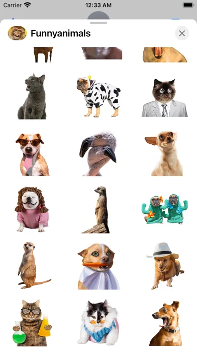 Tangkapan layar Funniest Animal Expressions