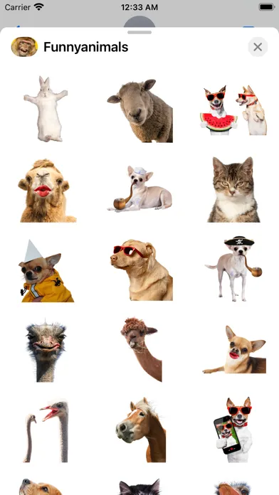 Tangkapan layar Funniest Animal Expressions