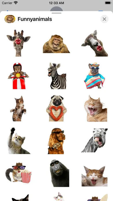 Tangkapan layar Funniest Animal Expressions