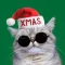 Trendy Stickers for Christmas