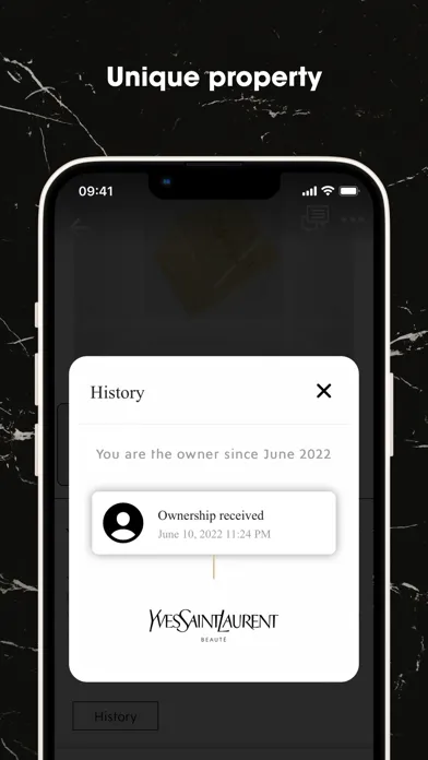 Tangkapan skrin YSLBeautyWallet