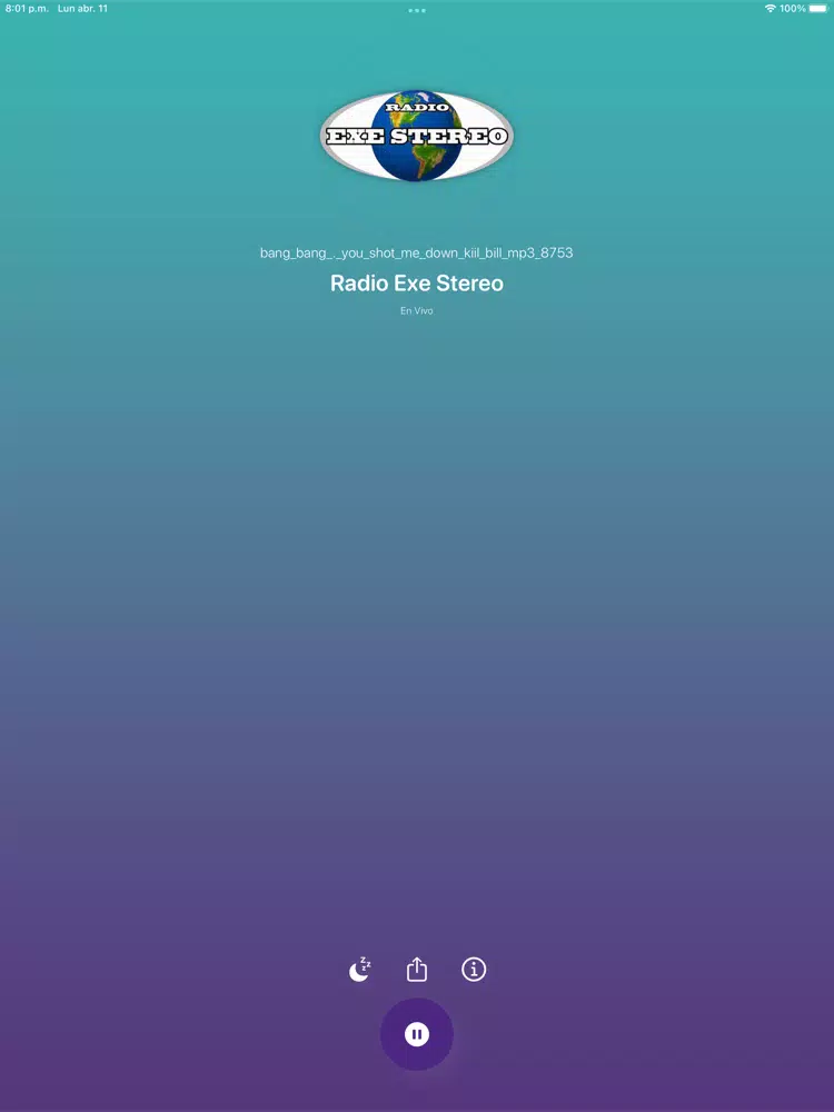 صور Radio Exe Stereo iPad 