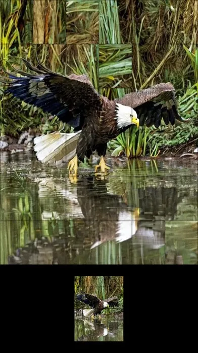 Capturas de pantalla de Jigsaw Puzzles Animals #1