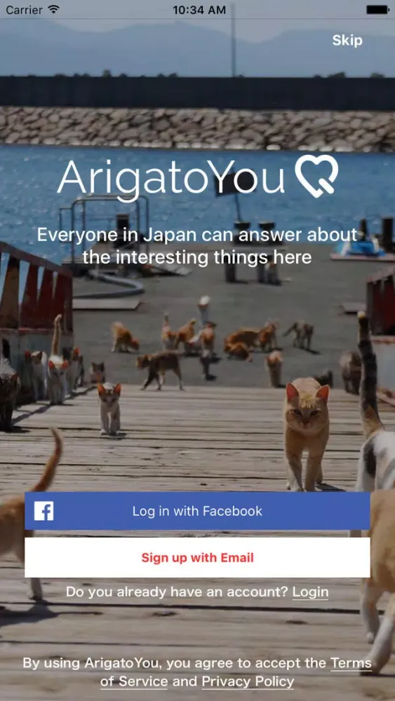 Скриншоты ArigatoYou: Japan Q&A app