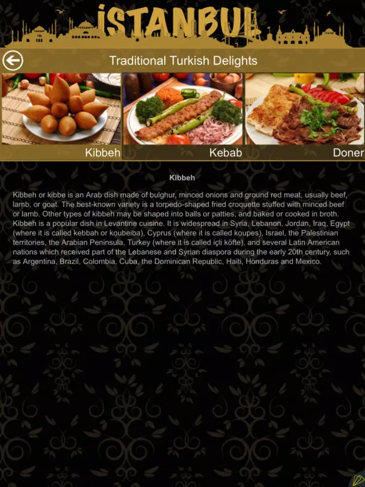 تصاویر Istanbul City Guide iPad 