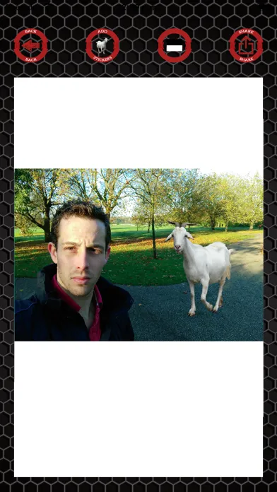 Capturas de pantalla de Goat stickers on photos