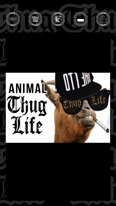 Скриншоты Thug Life photo stickers