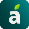 Ariso - All things Food Ariso - All things Food