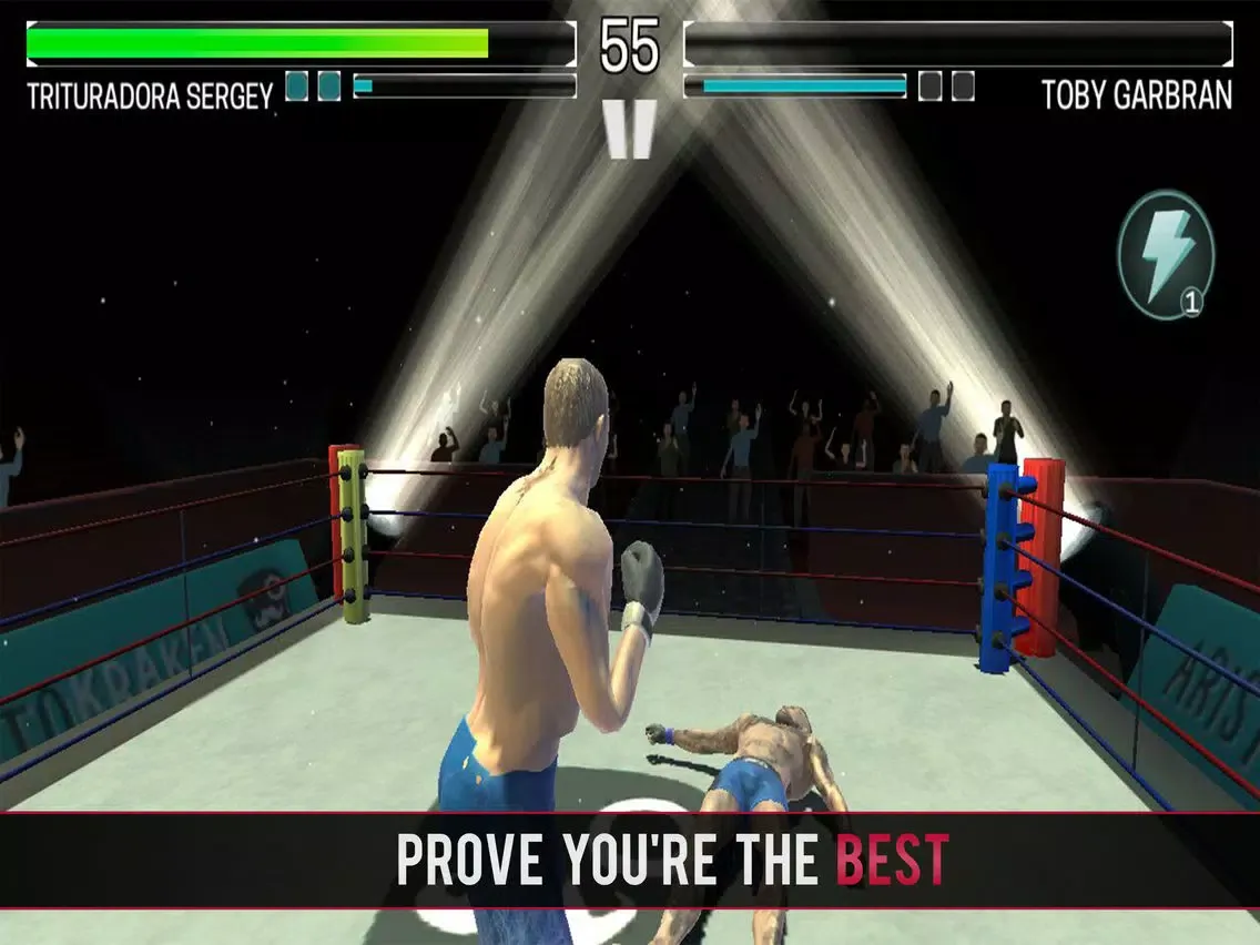 Boxing vs MMA iPad  سکرین شاٹس