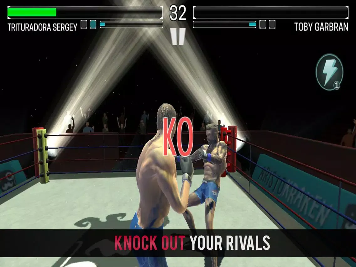 Boxing vs MMA iPad  سکرین شاٹس