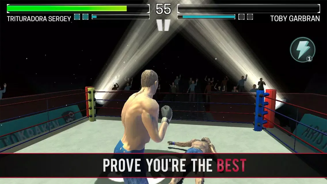 Boxing vs MMA سکرین شاٹس