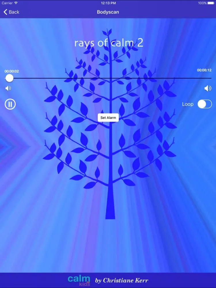 Rays Of Calm 2 by Christiane Kerr iPad  स्क्रीनशॉट