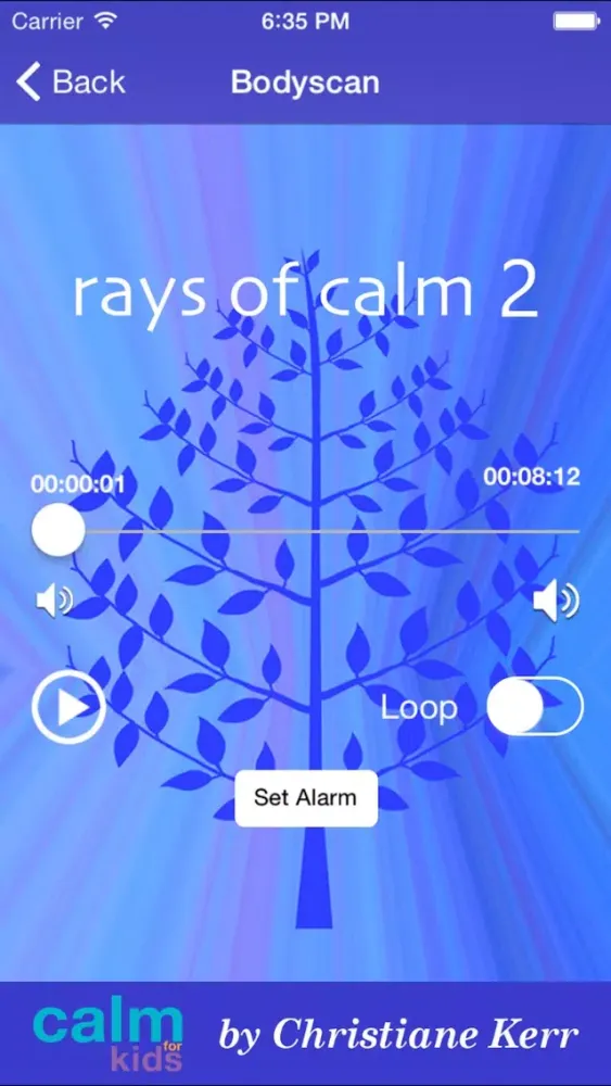 Rays Of Calm 2 by Christiane Kerr स्क्रीनशॉट