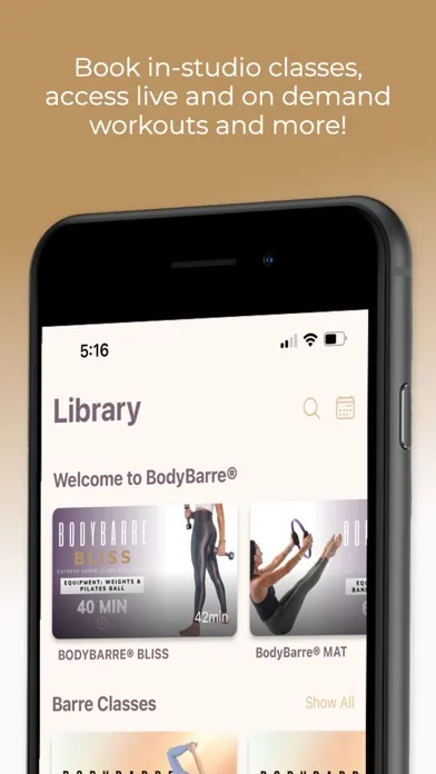 ภาพหน้าจอของ BodyBarre.