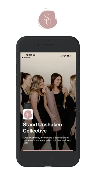 Stand Unshaken Collective Screenshots