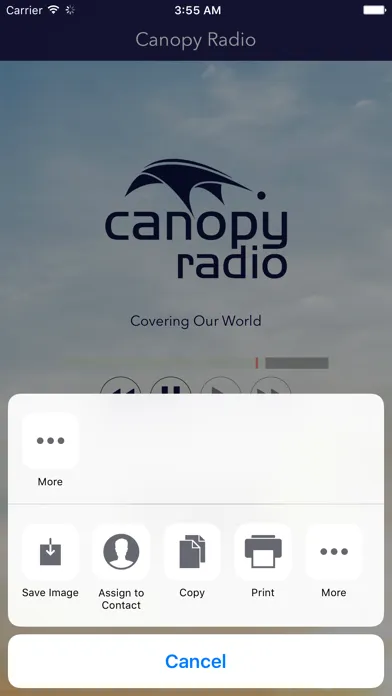 Canopy Radio স্ক্রিনশট